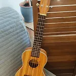 Casa Coral - & Culture