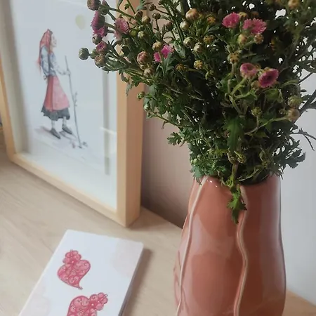 Casa Coral - & Culture Гостевой дом