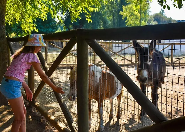 Casa Coral - & Culture 3* Braga